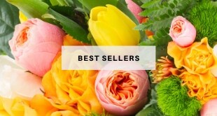 Best Sellers